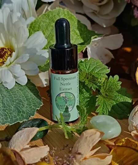 Full Spectrum Nettle Extract - 10ml