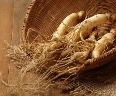 Panax Ginseng Extract