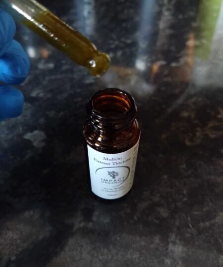 Alternative view of Mullein Tincture