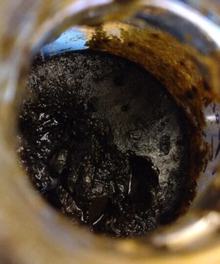 Alternative view of Ashwagandha extract