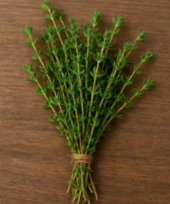 Thyme Extract