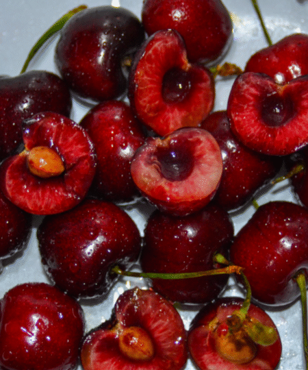 Sour Cherry Extract