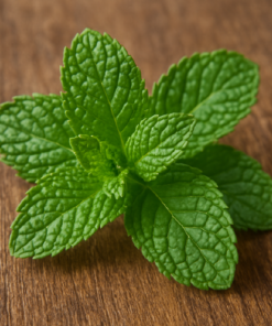 Spearmint Extract