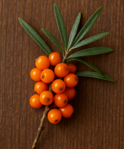 Sea Buckthorne Berry Extract