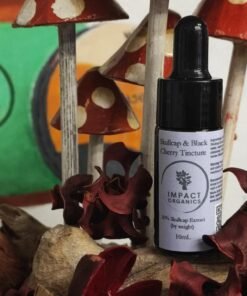 Cherry Flavour Skullcap Tincture 10%