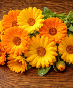 Calendula (Marigold) Extract:
