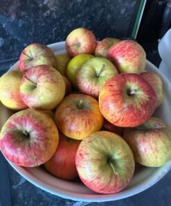 Brambley Apple Extract